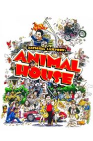 Yify Animal House 1978