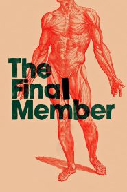 Yify The Final Member 2012