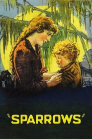 Yify Sparrows 1926