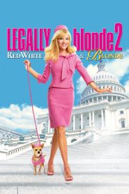 Yify Legally Blonde 2: Red, White & Blonde 2003
