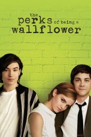 Yify The Perks of Being a Wallflower 2012