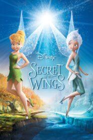Yify Secret of the Wings 2012