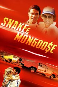 Yify Snake & Mongoose 2013