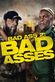 Yify Bad Ass 2: Bad Asses 2014