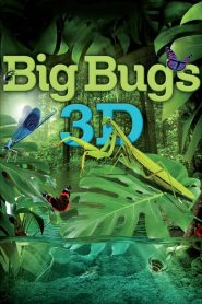 Yify Big Bugs 2012