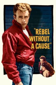 Yify Rebel Without a Cause 1955