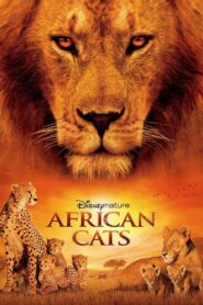 Yify African Cats 2011