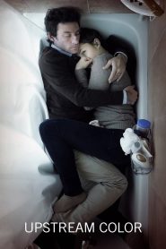 Yify Upstream Color 2013