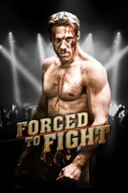 Yify Forced To Fight 2011