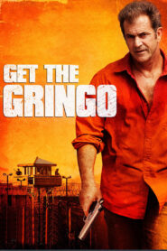 Yify Get the Gringo 2012