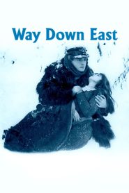 Yify Way Down East 1920