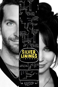 Yify Silver Linings Playbook 2012