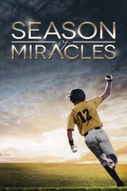 Yify Season of Miracles 2013