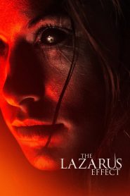 Yify The Lazarus Effect 2015