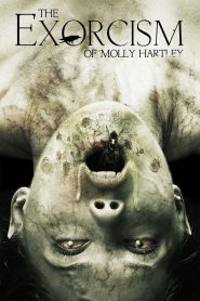 Yify The Exorcism of Molly Hartley 2015