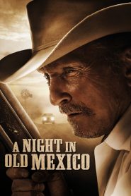Yify A Night in Old Mexico 2013