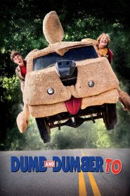 Yify Dumb and Dumber To 2014