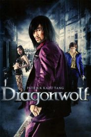Yify Dragonwolf 2013