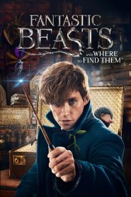Yify Fantastic Beasts and Where to Find Them 2016