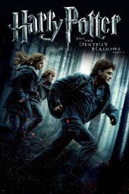 Yify Harry Potter and the Deathly Hallows: Part 1 2010