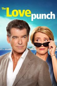 Yify The Love Punch 2014