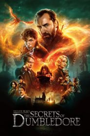 Yify Fantastic Beasts: The Secrets of Dumbledore 2022
