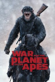 Yify War for the Planet of the Apes 2017