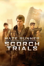 Yify Maze Runner: The Scorch Trials 2015