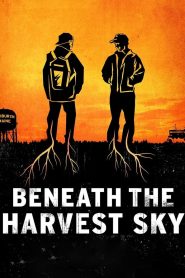 Yify Beneath the Harvest Sky 2013