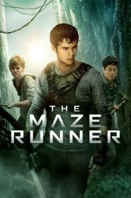 Yify The Maze Runner 2014