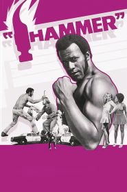 Yify Hammer 1972