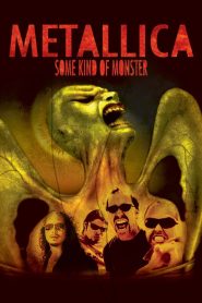 Yify Metallica: Some Kind of Monster 2004