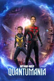Yify Ant-Man and the Wasp: Quantumania 2023