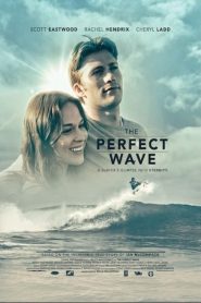 Yify The Perfect Wave 2014