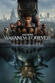 Yify Black Panther: Wakanda Forever 2022
