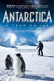 Yify Antarctica: A Year on Ice 2013