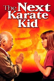 Yify The Next Karate Kid 1994