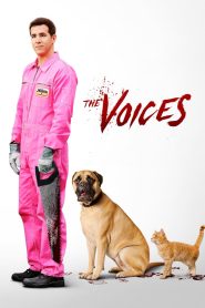 Yify The Voices 2014