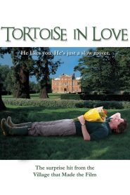 Yify Tortoise in Love 2012