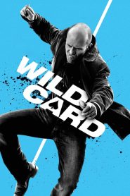 Yify Wild Card 2015