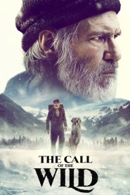 Yify The Call of the Wild 2020