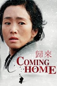 Yify Coming Home 2014