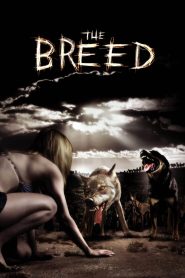 Yify The Breed 2006