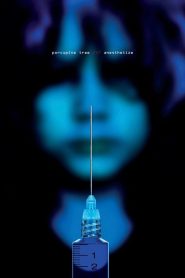 Yify Porcupine Tree: Anesthetize 2010