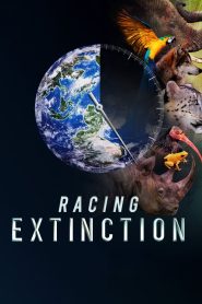Yify Racing Extinction 2015