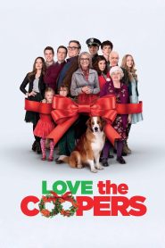 Yify Love the Coopers 2015