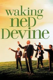 Yify Waking Ned 1998