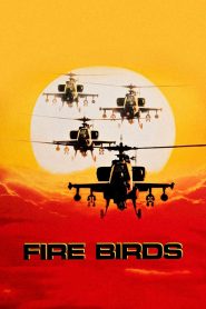 Yify Fire Birds 1990