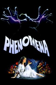 Yify Phenomena 1985