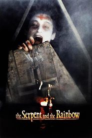 Yify The Serpent and the Rainbow 1988